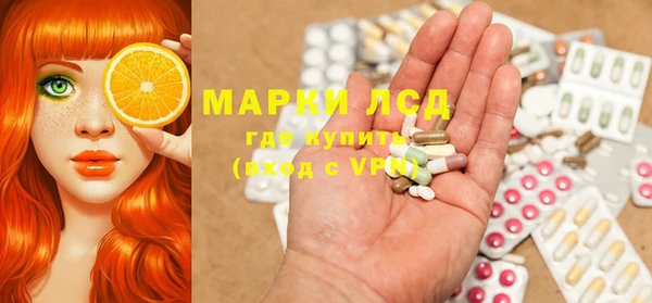 PSILOCYBIN Белокуриха