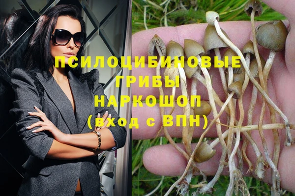 PSILOCYBIN Белокуриха