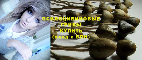 jwh Строитель