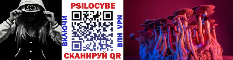 Псилоцибиновые грибы Psilocybe  Горняк 