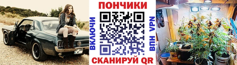 darknet официальный сайт  Горняк  Бошки марихуана LSD WEED 